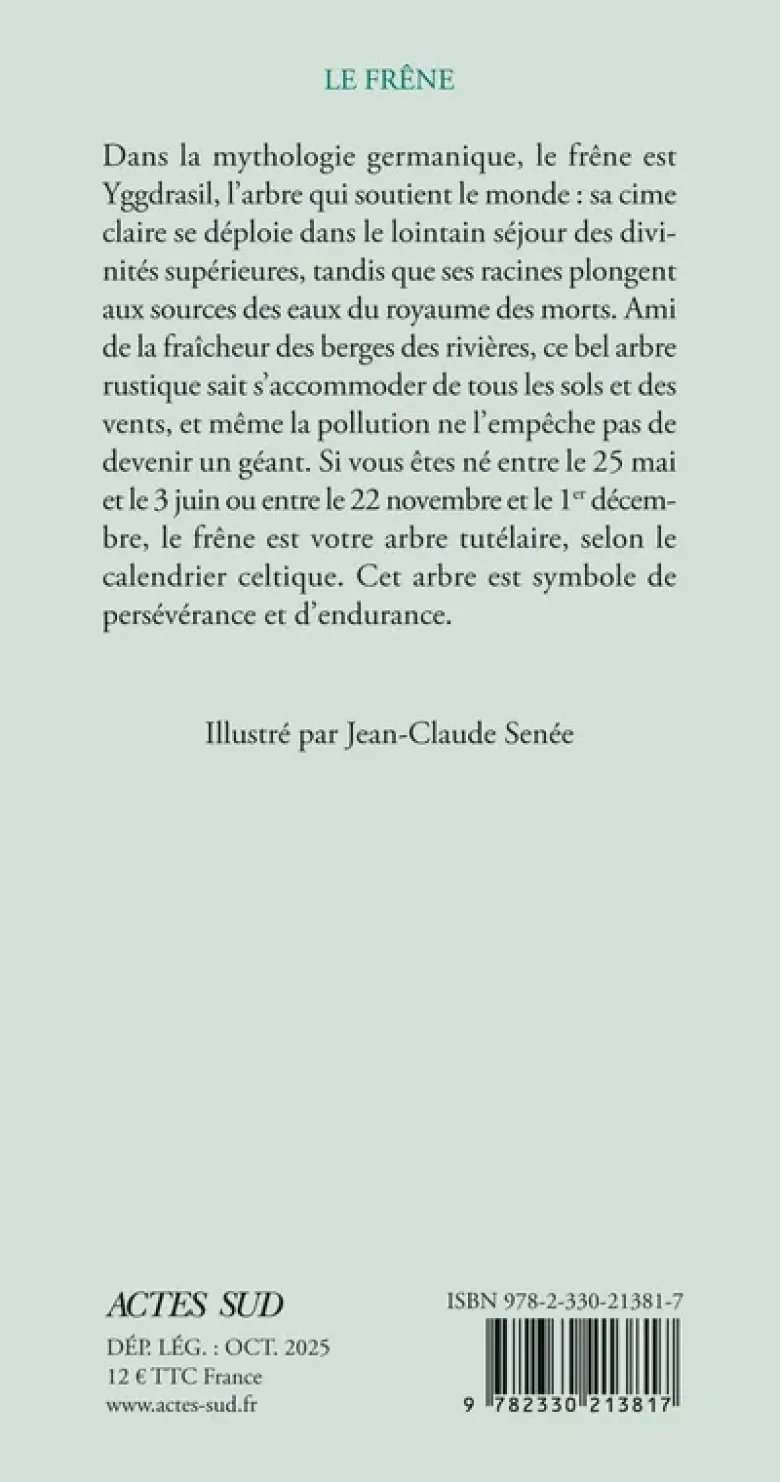 Le frêne