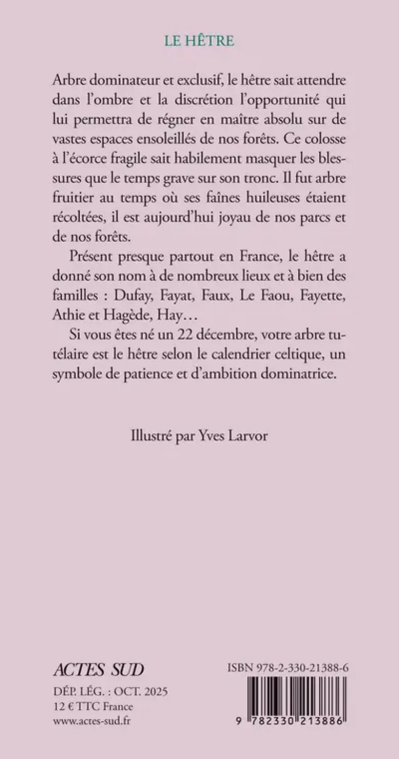 Le hêtre