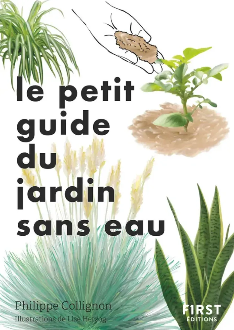 Le Petit guide Jardin sans eau