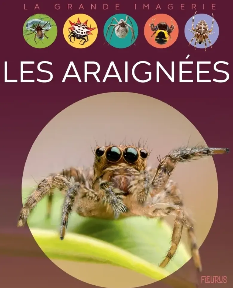 Les araignées