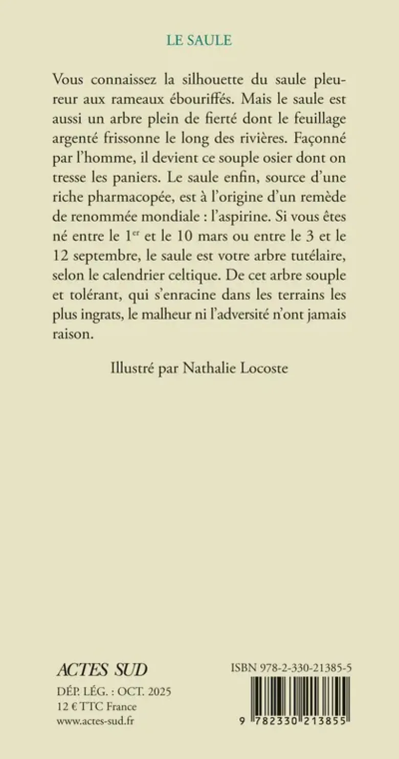 Le saule