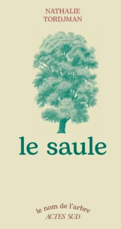 Le saule