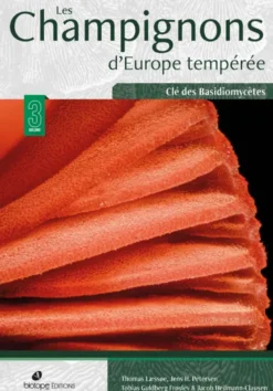 Les Champignons d'Europe tempérée - Volume 3 - Clé des Basidiomycètes