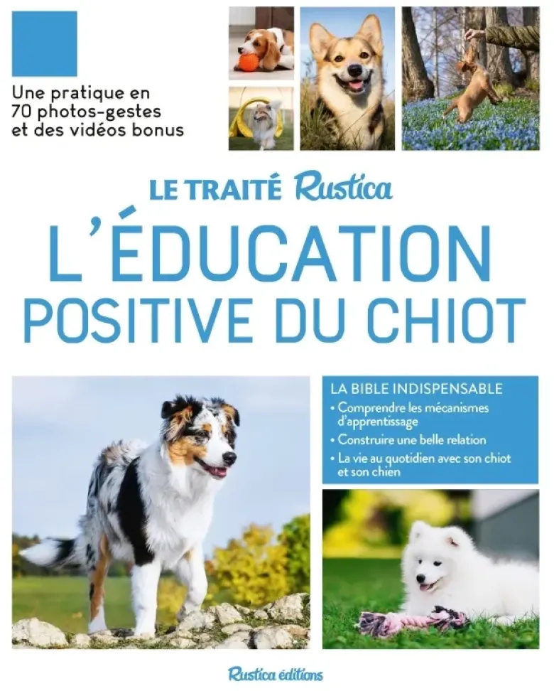 Le Traité Rustica de l'éducation positive du chiot