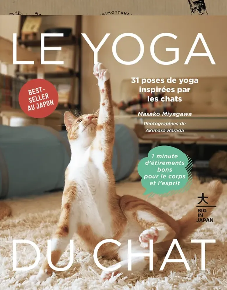 Le Yoga du Chat