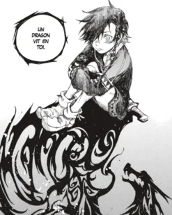 L'Héritière du dragon - Tome 01