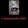 L'immontrable