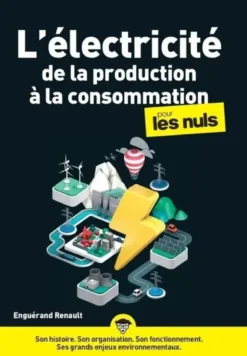 L'électricité, de la production à la consommation pour les nuls