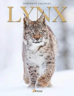 Lynx