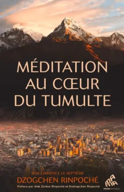 Méditation au coeur du tumulte