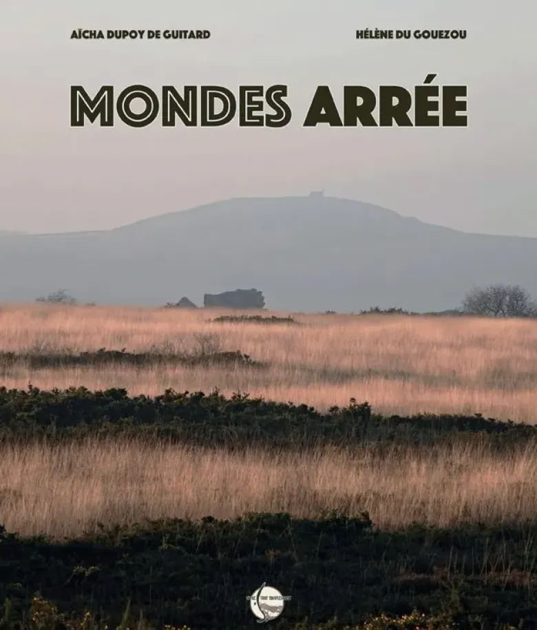 Mondes Arrée
