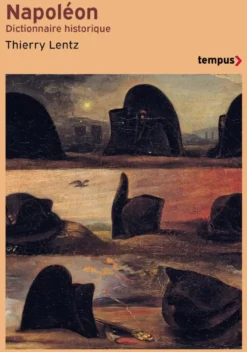 Napoléon - Dictionnaire historique