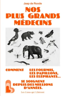 Nos plus grands médecins