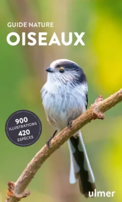 Oiseaux