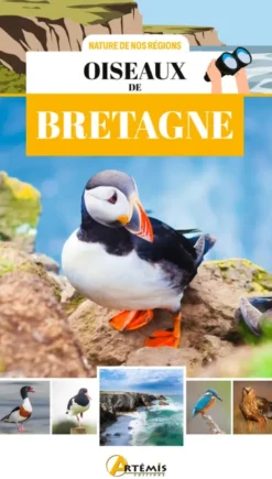 Oiseaux de Bretagne