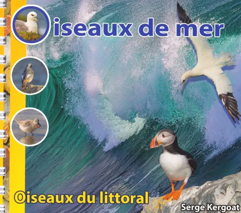 Oiseaux de mer