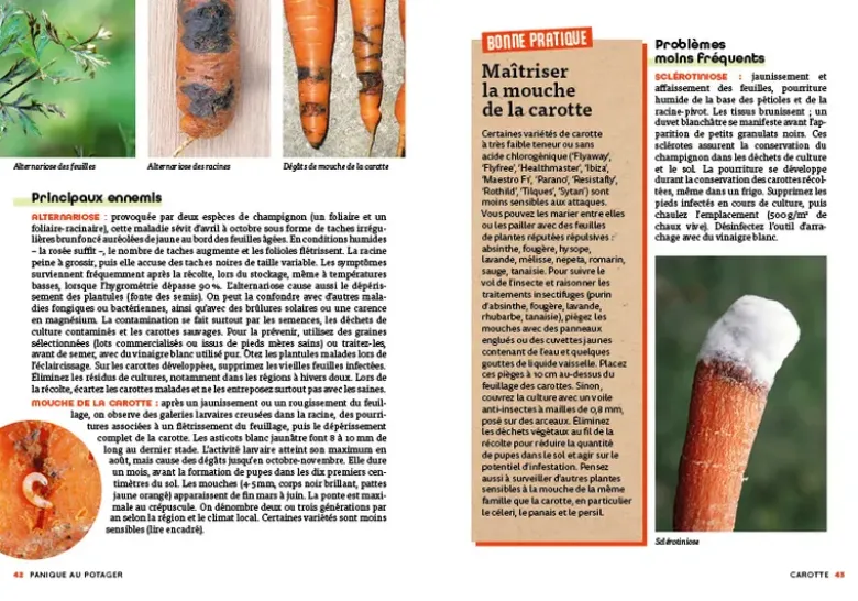 Panique au potager