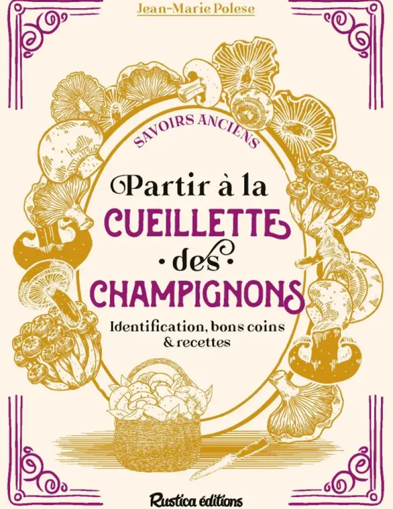 Partir à la cueillette des champignons