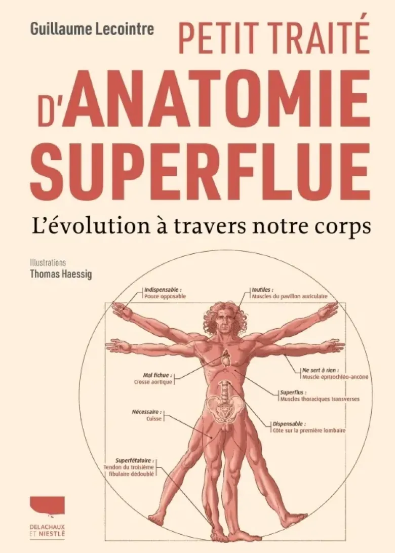 Petit traité d'anatomie superflue