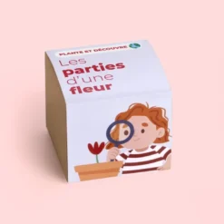 Plante et découvre: Les parties d’une fleur