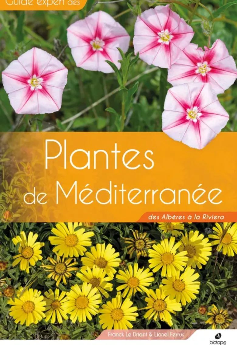 Plantes de Méditerranée