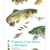 Poissons d’eau douce en Bretagne