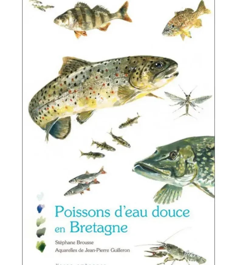 Poissons d’eau douce en Bretagne