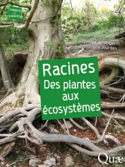 Racines