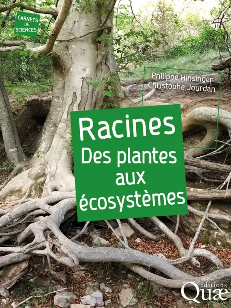 Racines