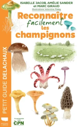 Reconnaître facilement les champignons