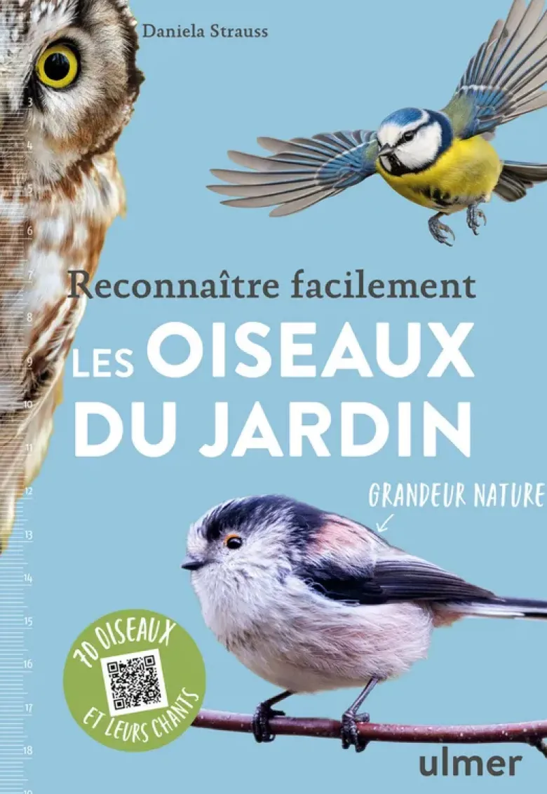 Reconnaître facilement les oiseaux du jardin