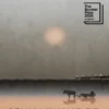 Seascraper