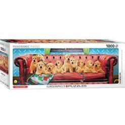 Sofa de labradors