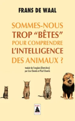 Sommes-nous trop "bêtes" pour comprendre l'intelligence des animaux ?