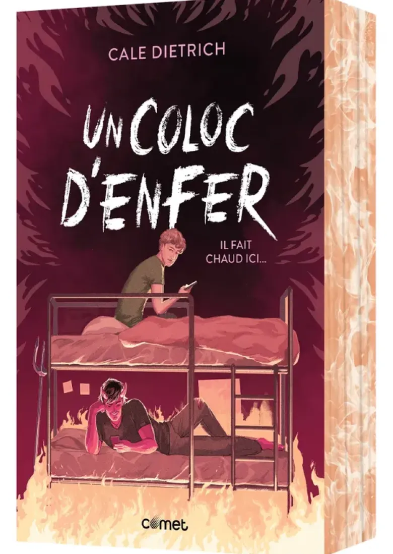 Un coloc d'enfer