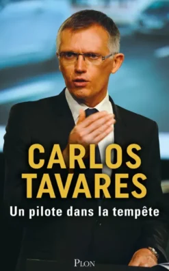 Un pilote dans la tempête