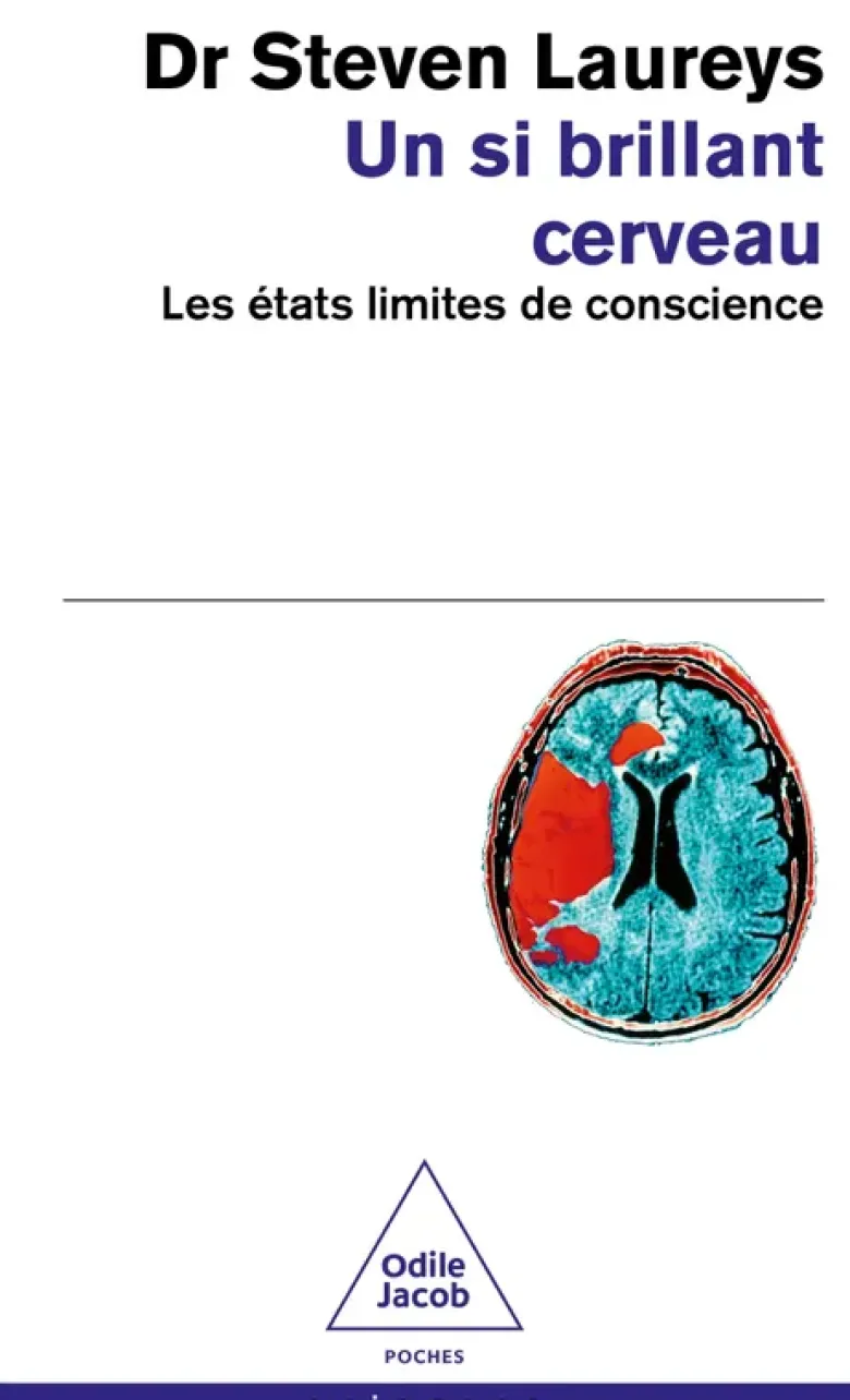 Un Si Brillant Cerveau